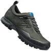 Tecnica Plasma GTX MS Wanderschuhe Dark Piedra/True Mare Herren